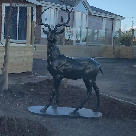 Woodland キャンプ場